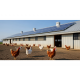 No Clucking Around - Evaluating Modern Insulation Choices