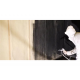 Avoiding The Cost Of Over-Application: Why Proper DC-315 Intumescent Coating Use Matters
