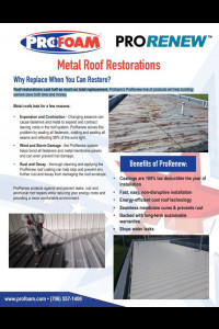 Metal Roof Restorations Flyer