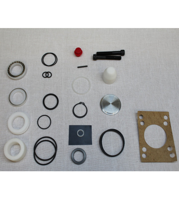 PMC 120 A Pump Rebuild Kit